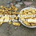 Kenya & Uganda Gold